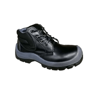 BOTA 620 PLUS